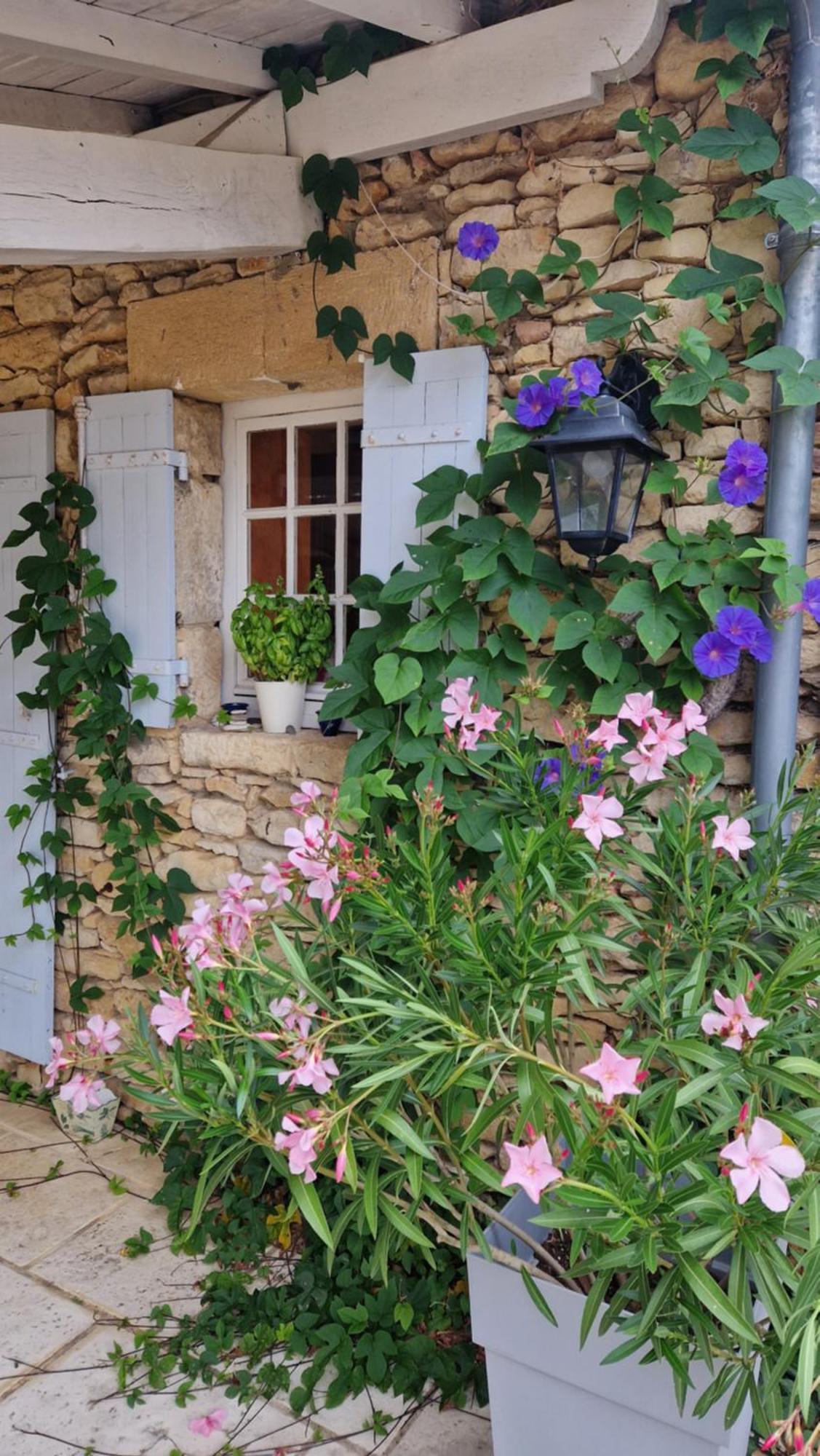 Le Clos-lascazes 4* Le Buisson-de-Cadouin
